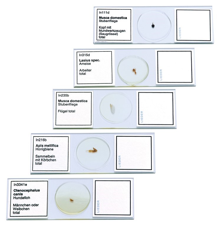 WINLAB Mikropräparateserie