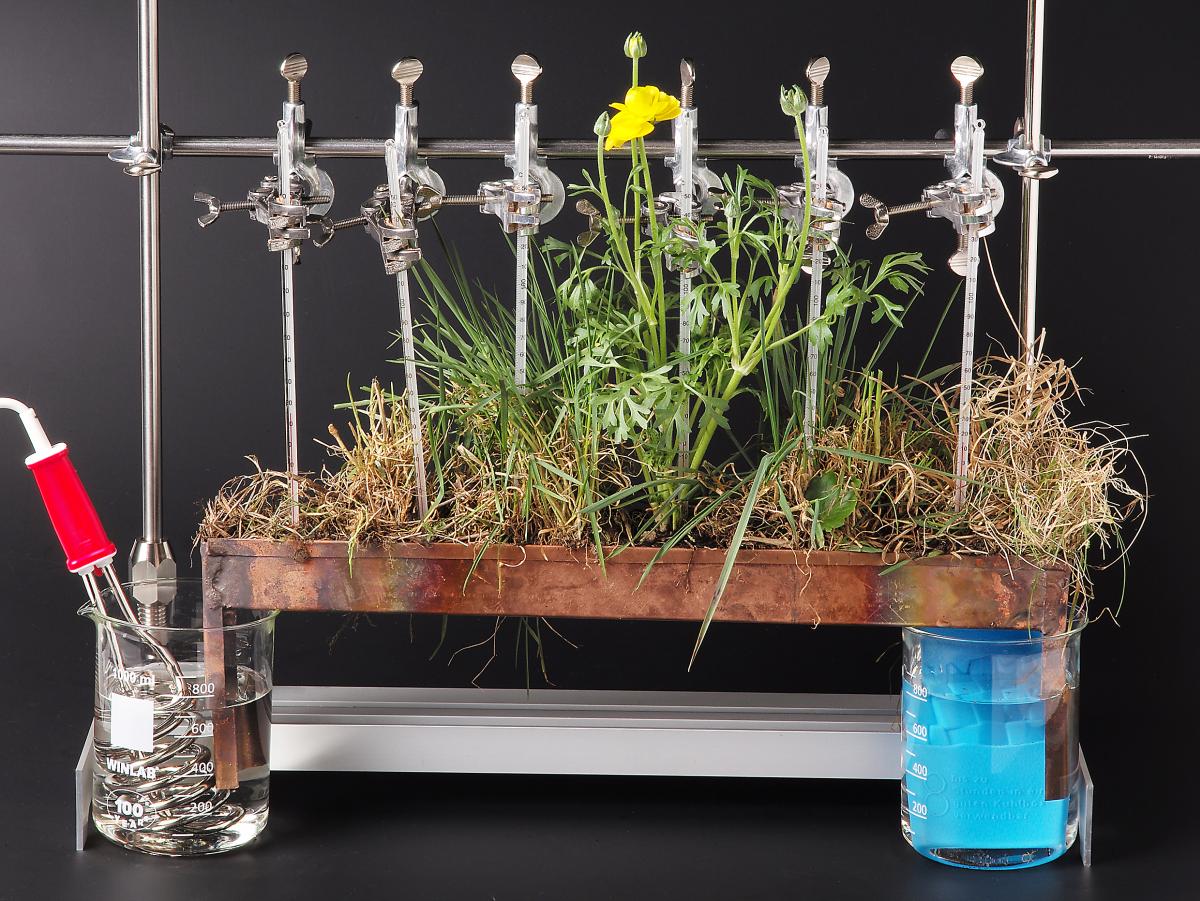 Stativ-Set für Temperaturorgel