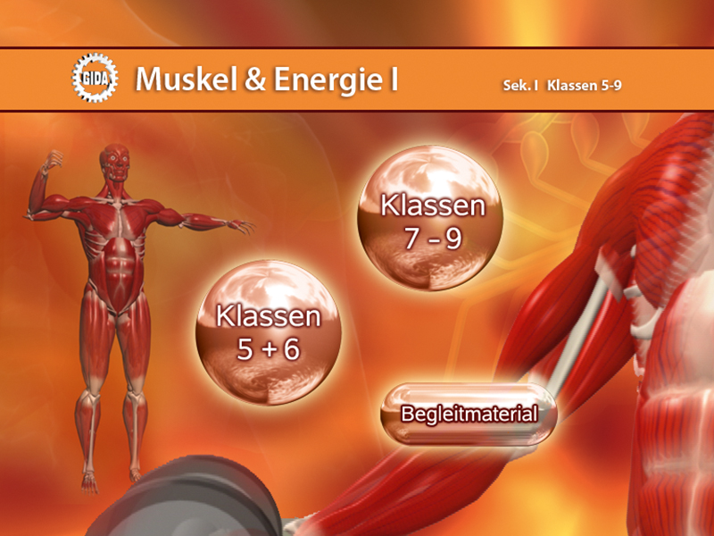 DVD - Muskel & Energie I