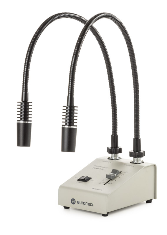 LED Schwanenhals-Leuchte 2-armig