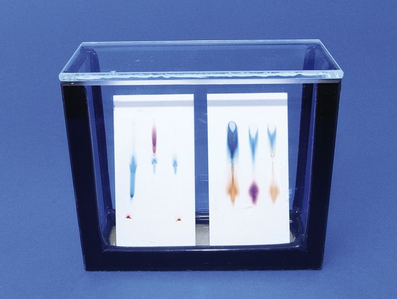 Trennkammer mit Glasdeckel