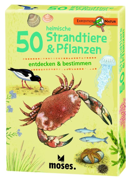 50 heimische Strandtiere & Pflanzen, Bestimmungskarten