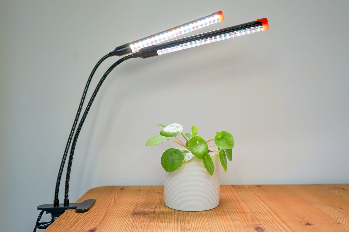 LED-Pflanzenlampe mit Schwanenhälsen und Tischklemme