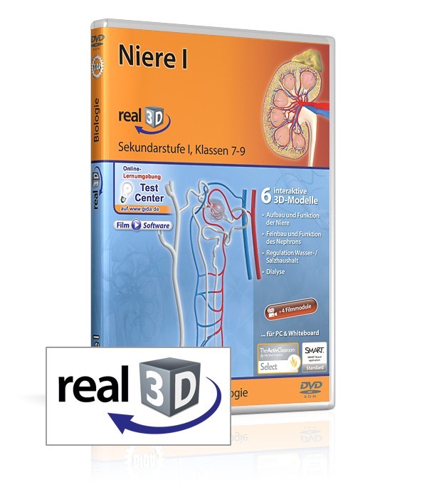 Niere - real3D Software