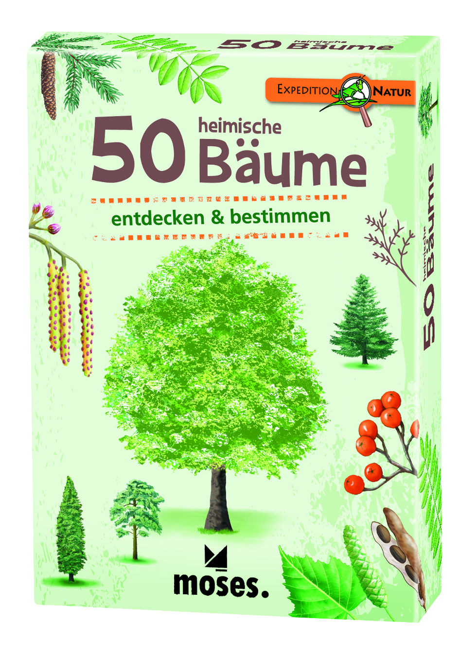 50 heimische Bäume