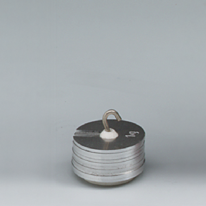 Scheibengewichtssatz, 10 g