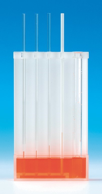 Kapillarröhrchen in Halter