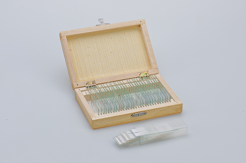 Satz mit 25 Mikropräparaten