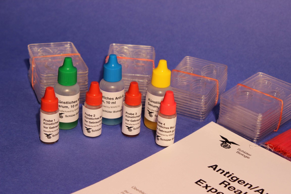 Antigen / Antikörperreaktion Experimentierkit