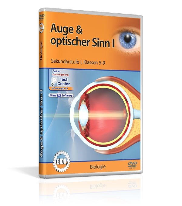 Real 3D Software - Auge & Optischer Sinn I