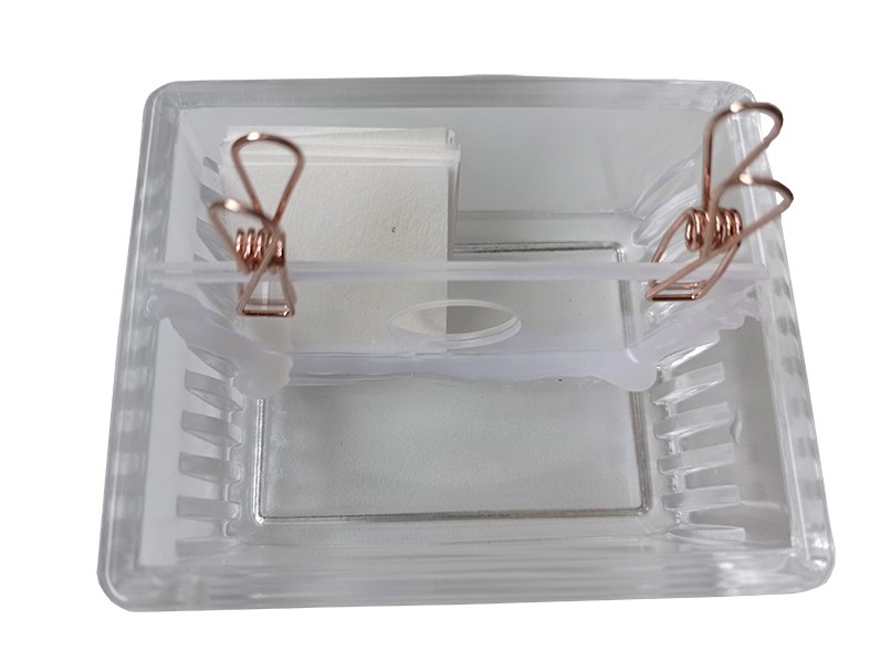 Elektrolysetrog mit Diaphragma