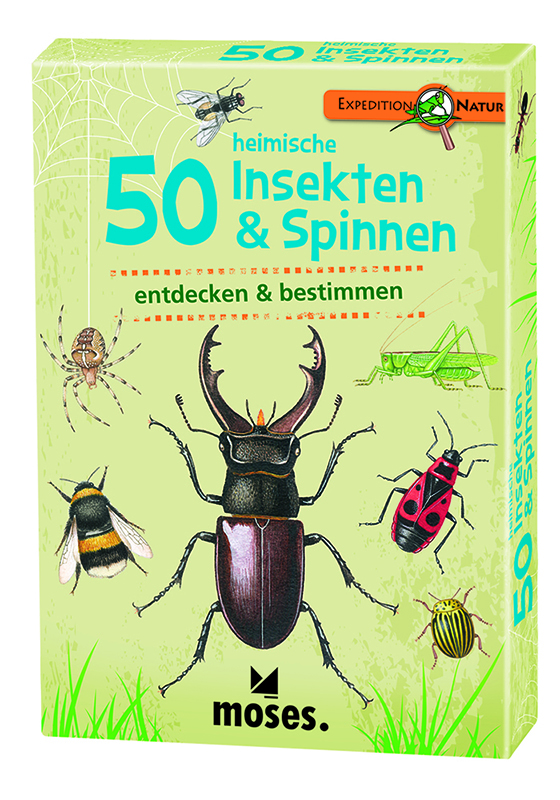 Bestimmungskarten Insekten