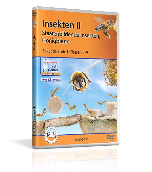 Insekten II