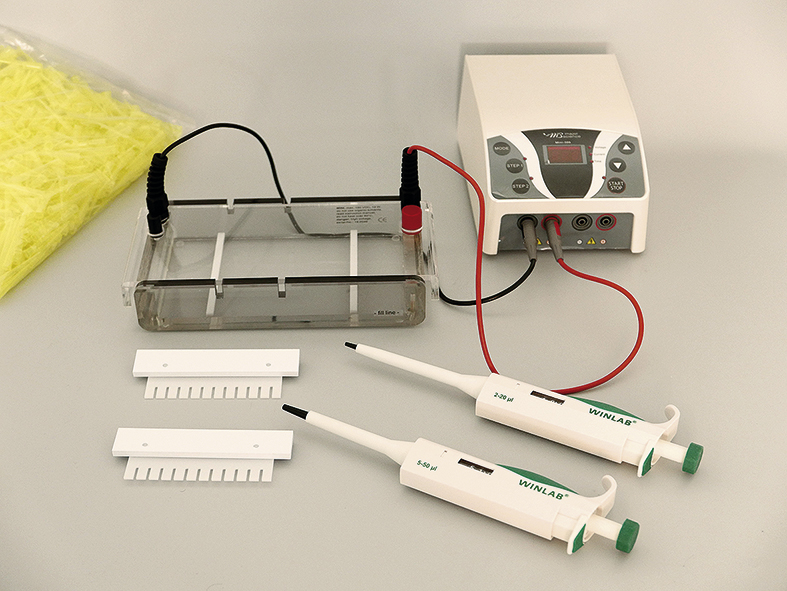 Elektrophorese Geräte-Kit für DNA- und RNA- Auftrennungen