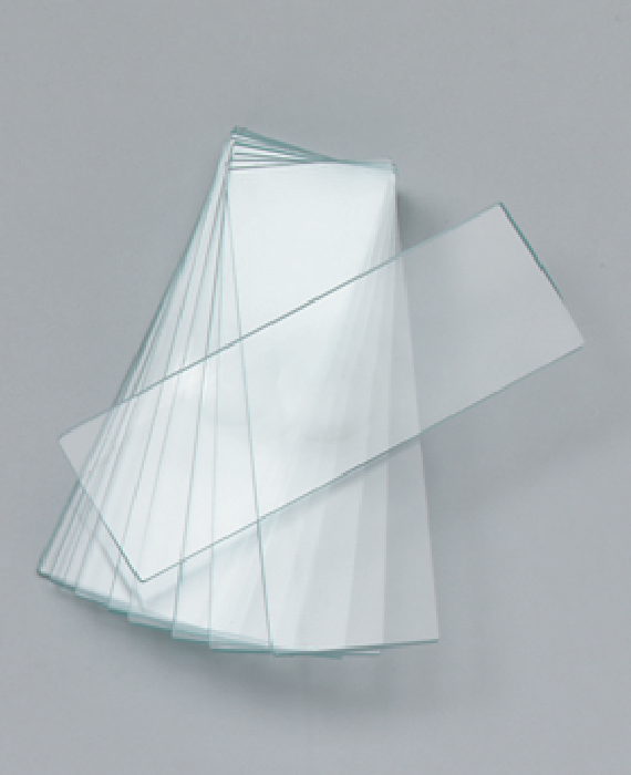 Objektträger mit einer Vertiefung