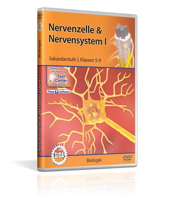 DVD - Nervenzelle & Nervensystem I