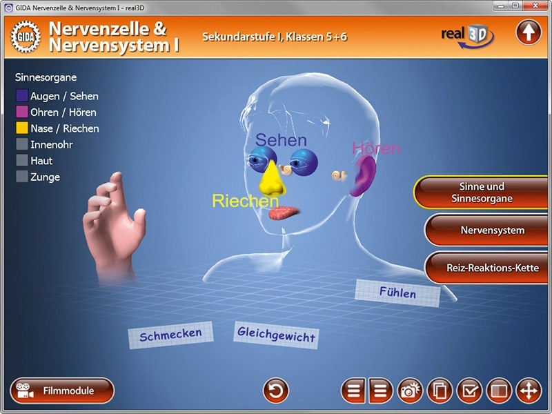 Real 3D Software - Nervenzelle & Nervensystem I