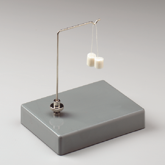 Elektrostatisches Doppelpendel