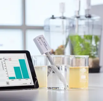 Digitales Experimentieren