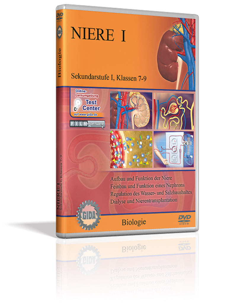 DVD - Niere I