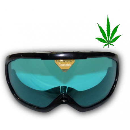 Cannabis-Brille "starke Effekte"