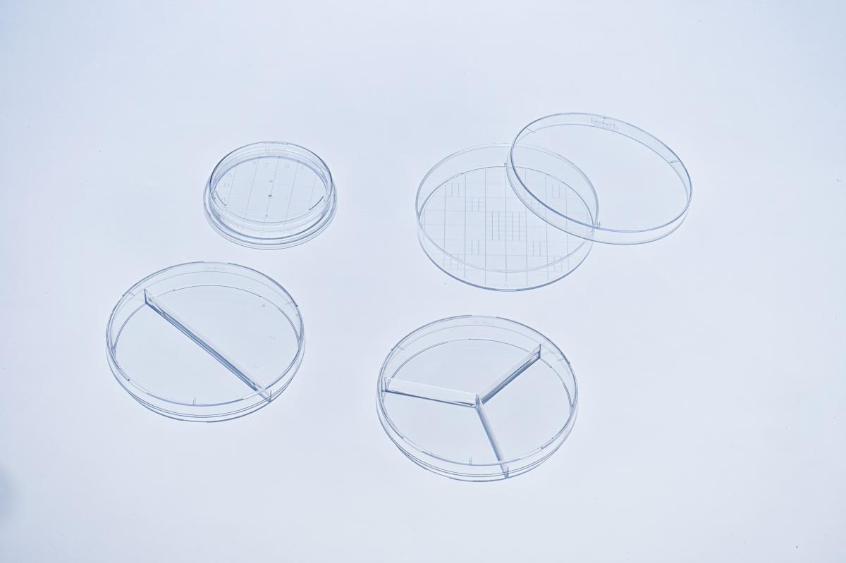 Petrischale aus Polystyrol zweigeteilt